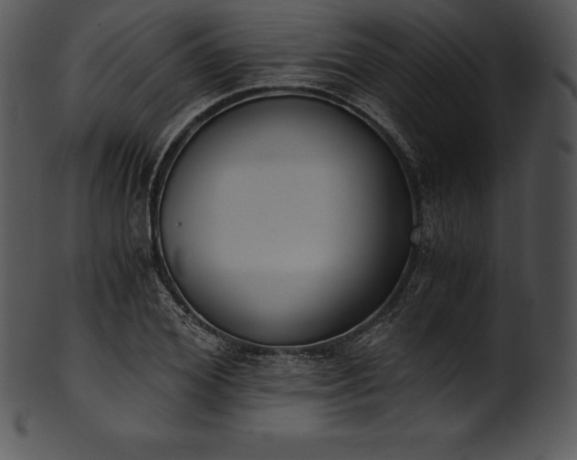 X0000101460980200807141303