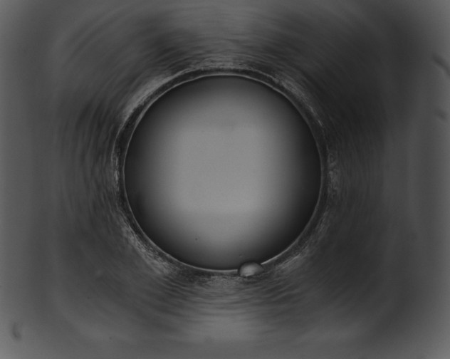 X0000101460981200807141303
