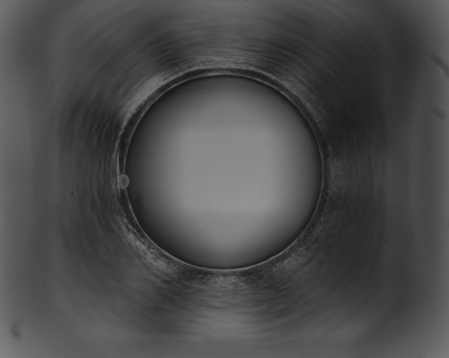 X0000101460982200807141303