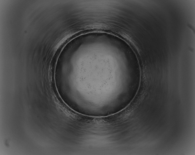 X0000101460983200807141303