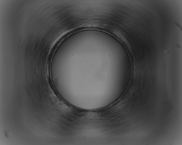 X0000101460984200807141303