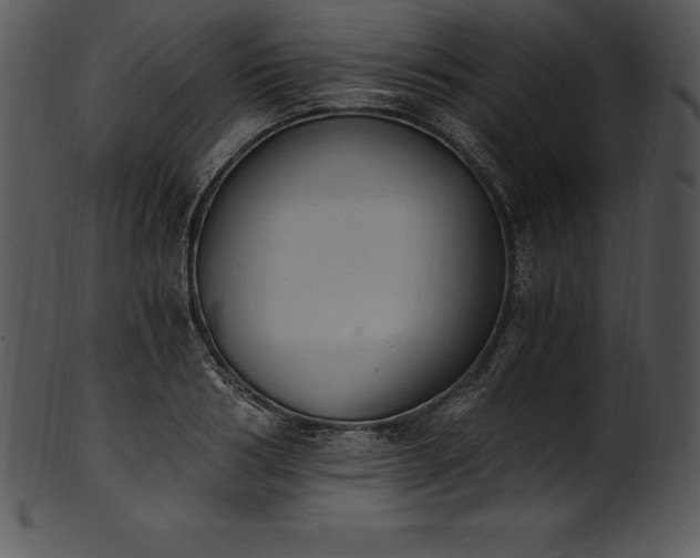 X0000101460986200807141303