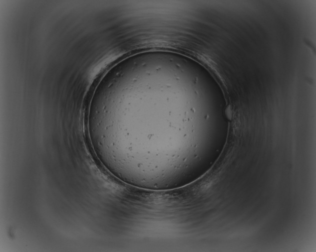 X0000101460987200807141303