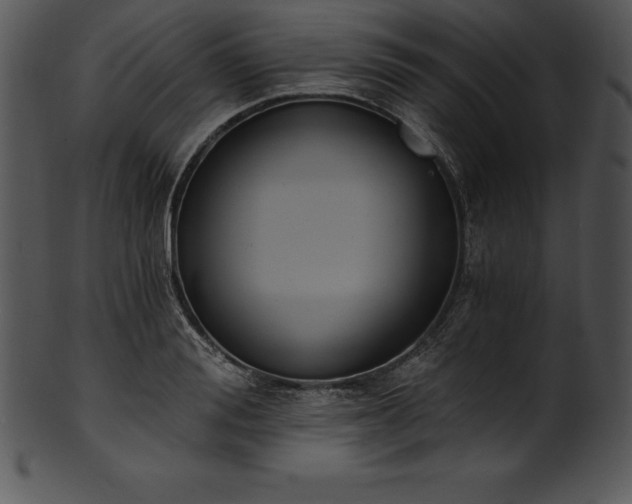 X0000101460988200807141303