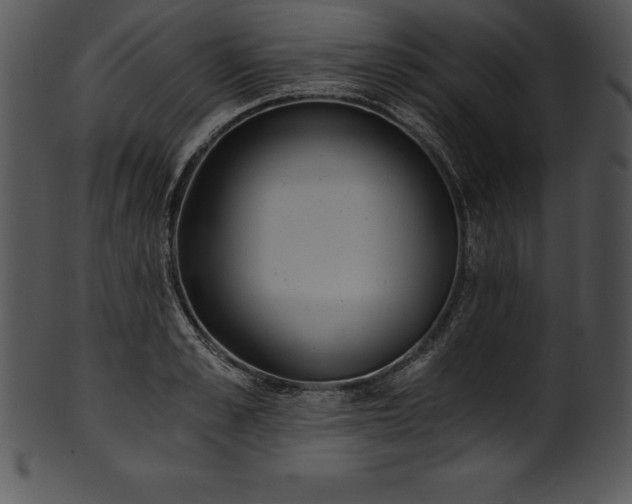 X0000101460989200807141303