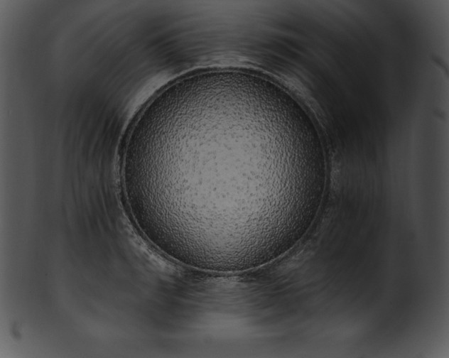 X0000101460990200807141303