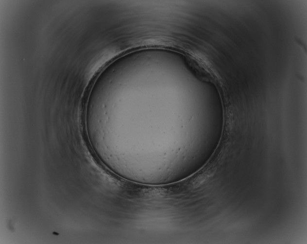 X0000101460991200807141303