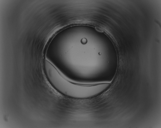 X0000101460992200807141303
