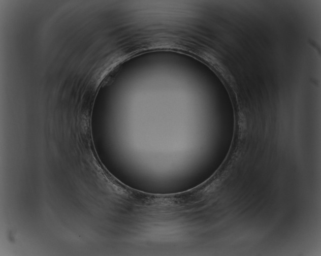 X0000101460993200807141303