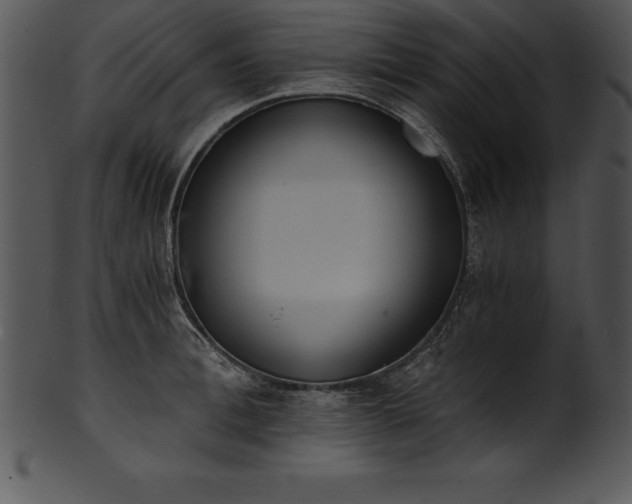 X0000101460996200807141302
