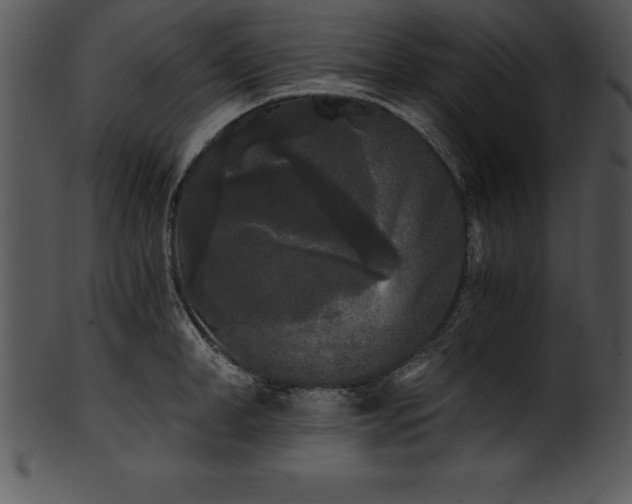 X0000101460998200807141302