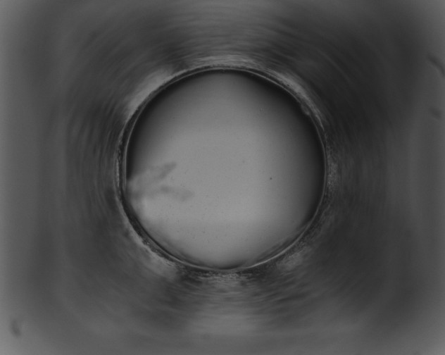 X0000101460999200807141302