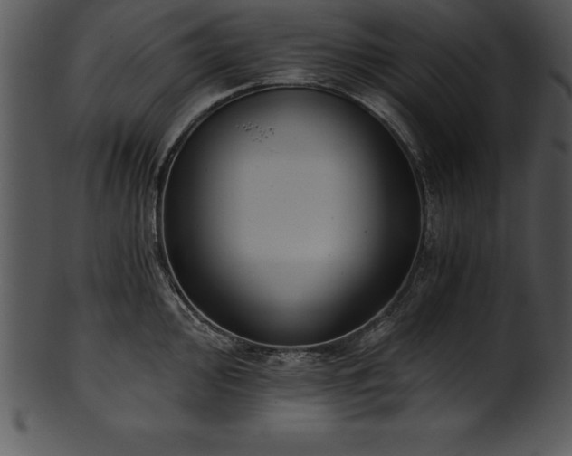 X0000101461000200807141302