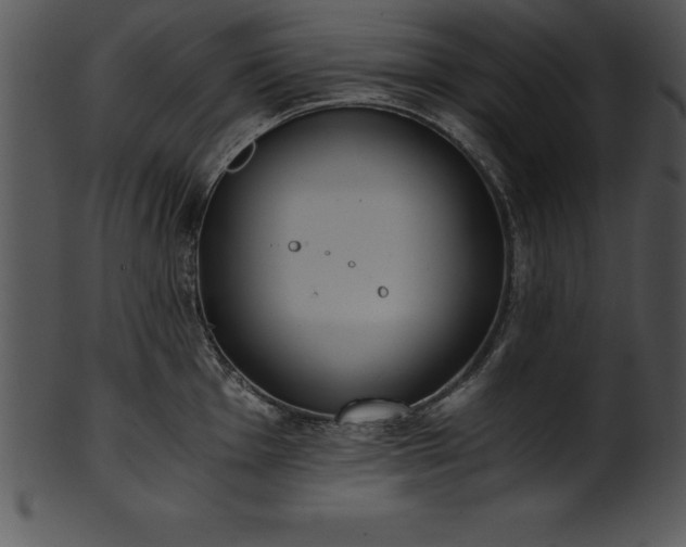 X0000101461001200807141302