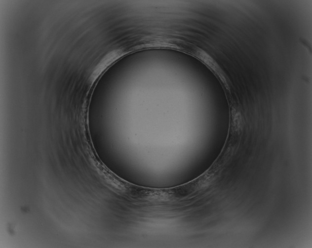 X0000101461002200807141302