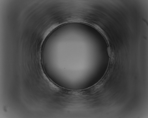 X0000101461005200807141302