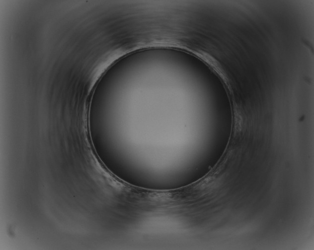 X0000101461006200807141302