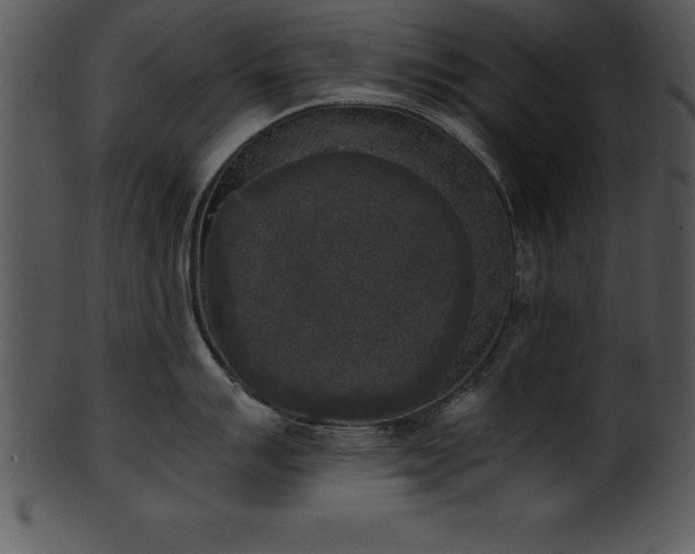 X0000101461007200807141302