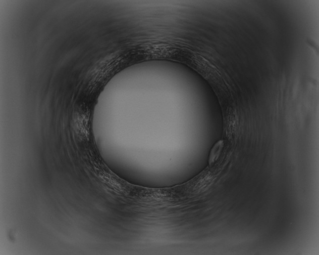 X0000101461010200807141302