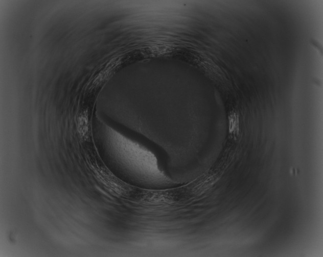 X0000101461011200807141302