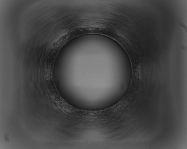 X0000101461014200807141302