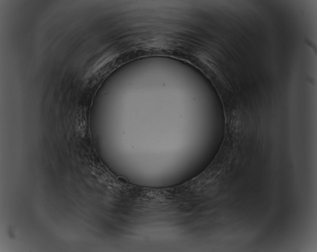 X0000101461015200807141302