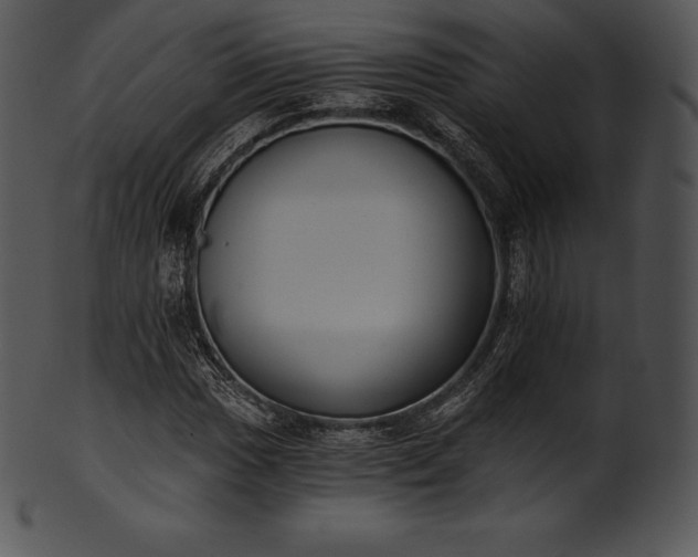 X0000101461017200807141302