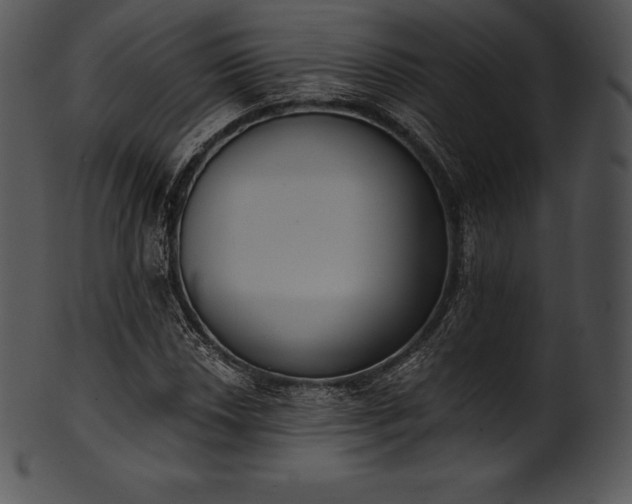 X0000101461018200807141302