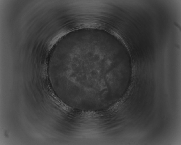 X0000101461019200807141302