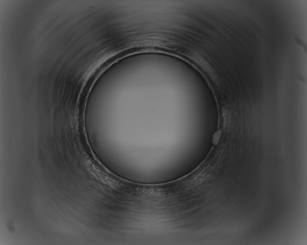 X0000101461020200807141302