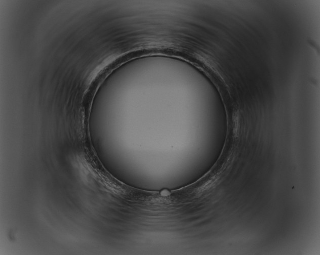 X0000101461021200807141302