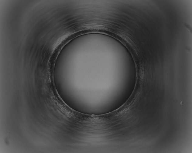 X0000101461022200807141302