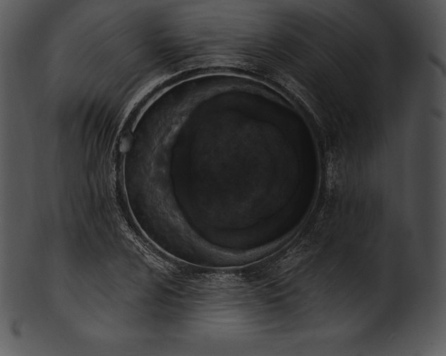 X0000101461024200807141302