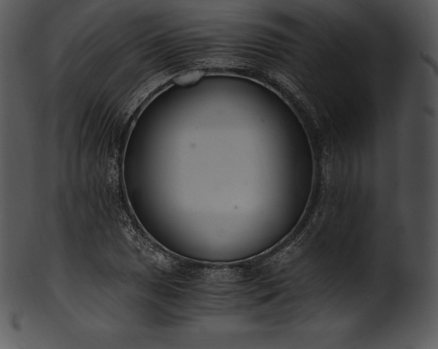 X0000101461025200807141302