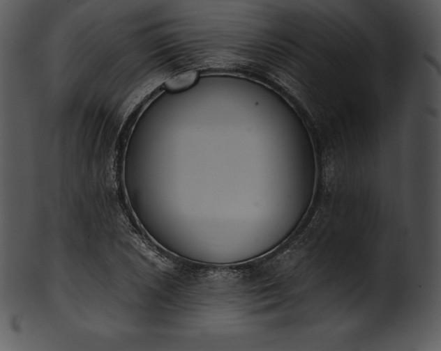 X0000101461026200807141302