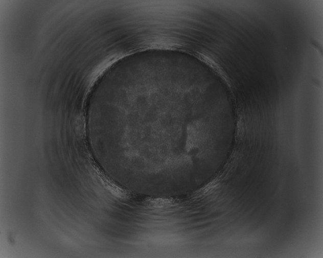 X0000101461027200807141302