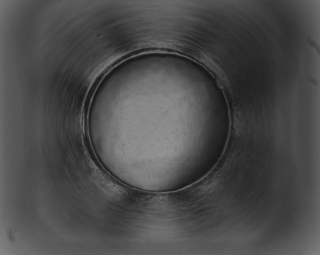 X0000101461028200807141302
