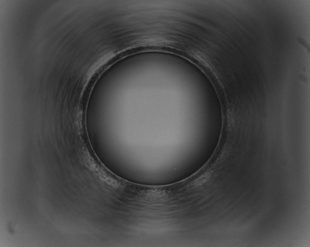 X0000101461029200807141302