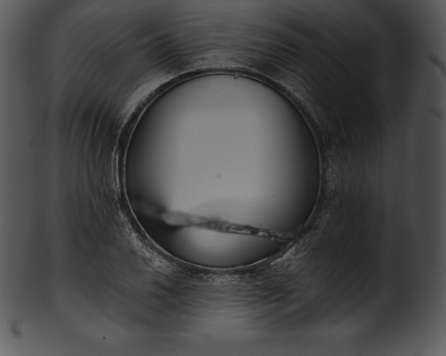X0000101461030200807141302