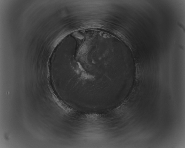 X0000101461031200807141302