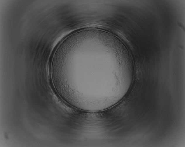 X0000101461032200807141302