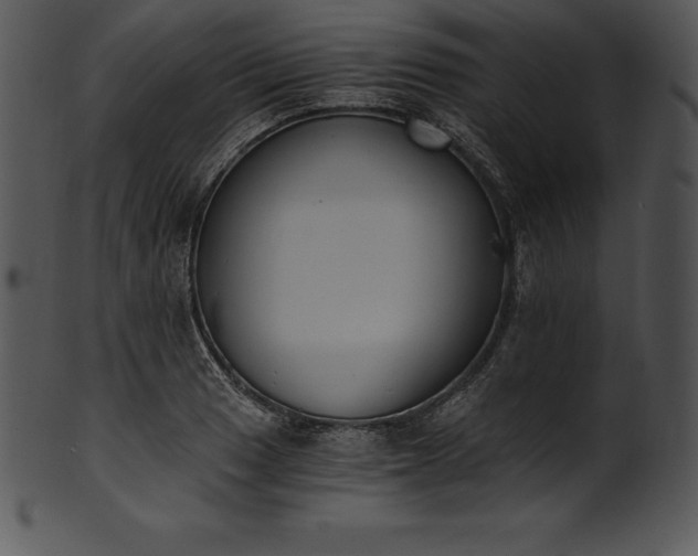 X0000101461033200807141302