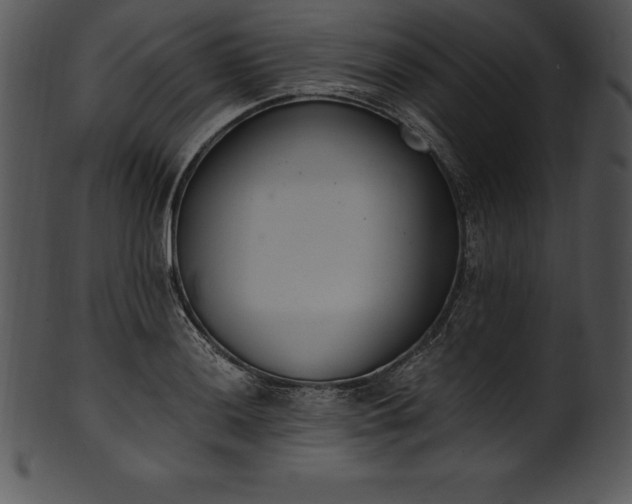 X0000101461036200807141302