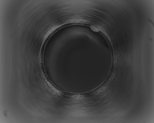 X0000101461037200807141302