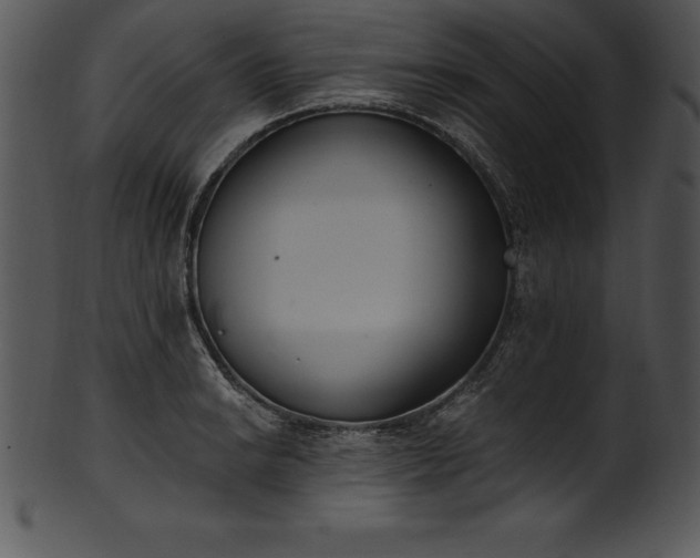 X0000101461038200807141302