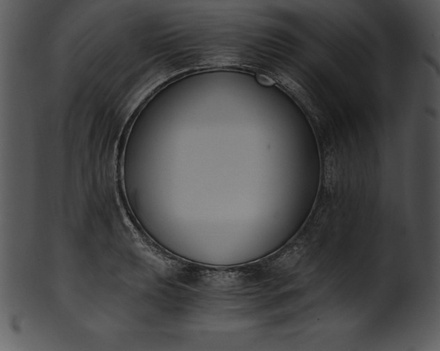 X0000101461039200807141302
