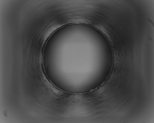 X0000101461040200807141302