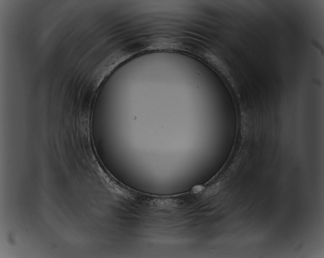 X0000101461041200807141302