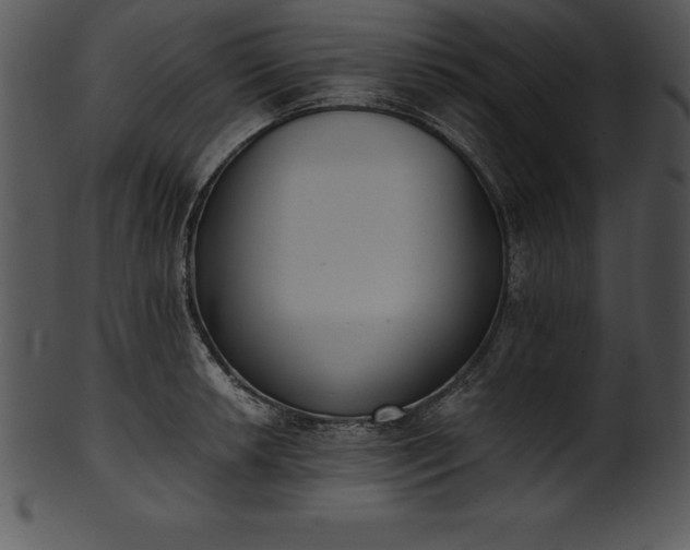 X0000101461042200807141302
