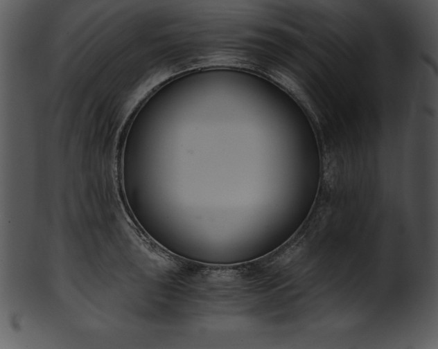 X0000101461043200807141302